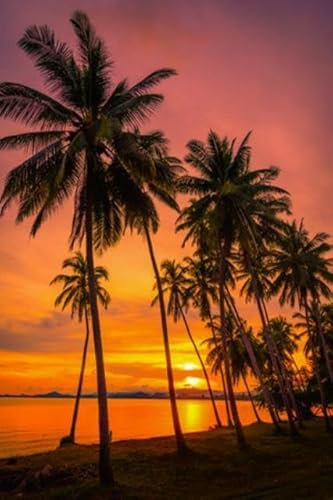 Acryl-Bild 70 x 110 cm: Silhouette Kokospalmen am Strand bei Sonnenuntergang. Vintage-Ton. (76388413)