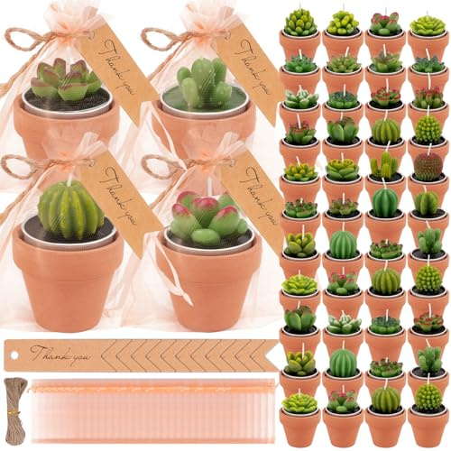 36 candele succulente tealight a forma di cactus per feste - candele succulente tealight, candele sfuse per bomboniere, candele tealight a forma di cactus con mini portacandele in argilla di