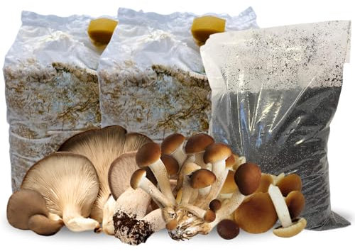 Kit Coltivazione Funghi con 2 Ballette (1 Cardoncello + 1 Pioppino) e Sacchetto da 3 Kg di Terriccio Arricchito Biologico - MADE IN ITALY