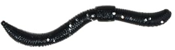 Trout Master Dendrobaena - Realistischer Wurmimitat-Köder aus TPE-Material mit Knoblaucharoma, ideal für erfolgreiches Forellenangeln.