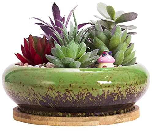 ARTKETTY Succulent Plant Pot, 18.5CM Large Bonsai Pot with Tray Ceramic Succulent Pot with Drainage Hole Shallow Cactus Flower Pots for Indoor/Outdoor Plants Glazed Planter Bowl, Green