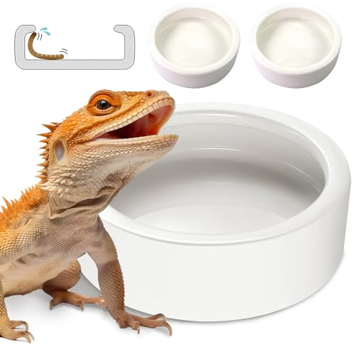 Reptile Food Dish Bowl 2Pcs Lizard Gecko Worm Water Bowls Small (2.75in)