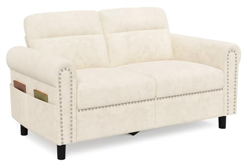 Blishom Divano a 2 posti,divanetto con tasca laterale,divano a due posti con cuscini di seduta rimovibili per soggiorno,camera da letto, ufficio,152 x 76 x 84 cm,Grigio scuro (Beige)