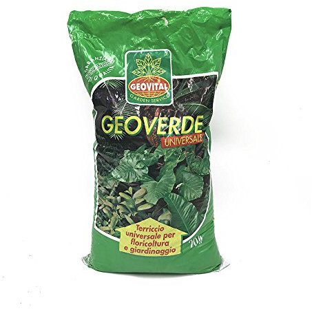 Geoverde 10 Sacchi TERRICCIO Universale FLORICOLTURA Giardinaggio 20 LT 6 kg