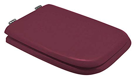Dianhydro Copriwater Coprivaso Sedile WC x Ideal Standard Vaso Conca Color Kashmire