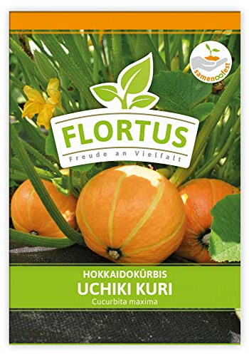 FLORTUS Hokkaidokürbis Uchiki Kuri | Gemüsesamen | Kürbissamen | Hokkaidokürbissamen | Samen zur Anzucht für Garten, Balkon, Küche & Fensterbank