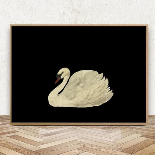 Schwarz-weißer antiker Schwan-Posterdruck, Leinwandgemälde, minimalistisch, Vintage-Wandkunst, Bilder für Wohnzimmer, Heimdekoration, 21 x 30 cm, mit Rahmen