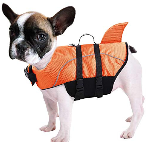 Queenmore Ripstop Hunde-Schwimmweste, Hai-Schwimmweste für Hunde, Sicherheits-Lebensretter mit hohem Auftrieb und Hebegriff für kleine und mittlere Rassen (Orange S) | Sicherheits-Lebensretter für Welpen, mit hohem Auftrieb und Hebegriff, Orange, Größe S