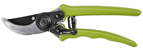 Burgon & Ball RHS Endorsed Micro Secateur, 16 cm Length, Light Green