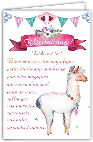 69-3929 Carte Félicitations Naissance Fille Bienvenue à Bébé Grand Texte Rose Fleuri Fête Fanions Lama - Carte qui s'ouvre avec Enveloppe Format 12x17,5cm