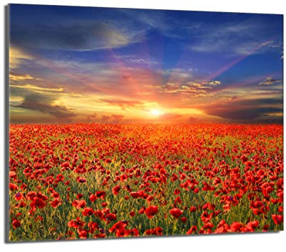 DarHaus Plaque de recouvrement, 60 x 52 cm, en verre, pour cuisinières électrique, à induction, convient comme décoration, protection anti-éclaboussures ou planche à découper, Paysage Coquelicots