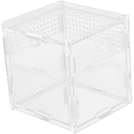 Reptilienbrutkasten Transparent View Terrarium für Schlangen, Geckos und andere Reptilien mit Belüftung für optimale Luftzirkulation Einfache Montage