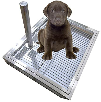 Hundens toalettställning Rostfritt stål hundkruka hundtoalett inomhus utomhus husdjurslåda badrumsmatta dynehållare skyddskolumn(Sus201,48 * 33 * 7.5cm)