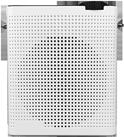 BINGNU Sprachverstärker, Mini Megaphone Kabelgebundener Sprachverstärker tragbarer U -Datenträger TF LED Lehrtuil -Guide Promotion Mikrofon Booster -Lautsprecher(White)