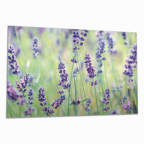 Wallario Herdabdeckplatte/Spritzschutz aus Glas, 2-teilig, 80x52cm, für Ceran- und Induktionsherde, Lila Blumenfreude - Violette Pflanzen auf der Wiese