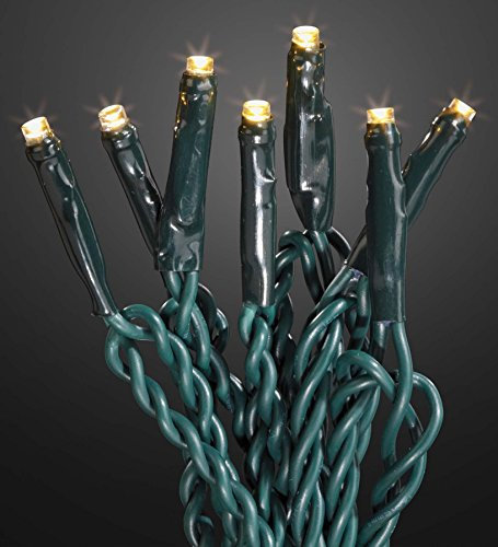 hellum LED Lichterkette Außen mit Timer, 23,9m beleuchtet 240 LED, Lichterkette warmweiß mit Fernbedienung, strombetrieben mit Stecker, Weihnachtsbaumbeleuchtung mit Kabel in grün 577167