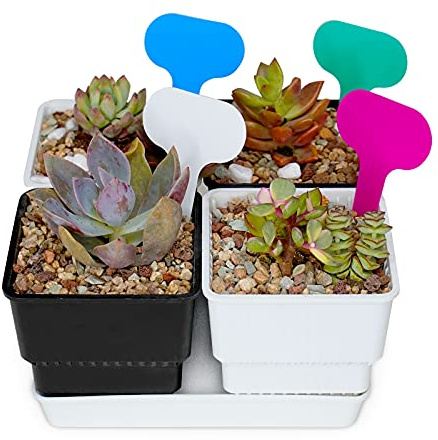 Sukkulenten-Blumentopf, Wurzelbekämpfung, mit Tablett, 7 cm, Kaktus-Blumentopf, Entwässerung, Belüftung, Übertopf, ideal für Zuhause, Garten, Büro, Innen- und Außenbereich, 4 Stück