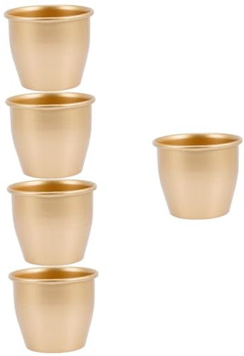Sosoport 5St Blumentopf Hexen Hut Pflanzgefäße für Zimmerpflanzen einmachgläser Golddekor Pflanzschale Pflanzentöpfe drinnen Sukkulenten Topfpflanze Orchideentopf Anlage schmücken Eisen