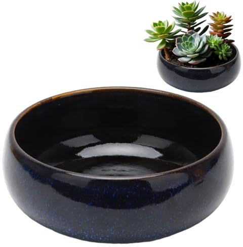 FARYODI Lotus Bowl, Keramik Blumenschale, Keramik-Wasserpflanzentopf für Drinnen und Draußen, für Sukkulenten, Hydrokulturpflanzen
