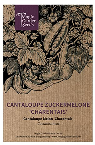 Cantaloupe Zuckermelone 'Charentais' (Cucumis melo) 5 Samen Warzenmelone