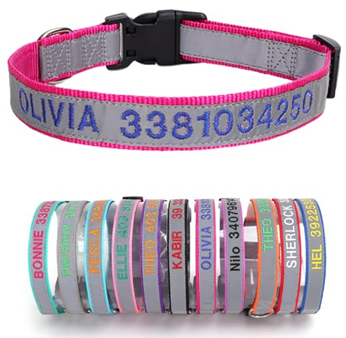 Reflektierend Hundehalsband Nylon mit Personalisiert Gesticktem Namen und Telefonnummer Verstellbar Halsband Passend für Große Mittlere Kleine Hunde Welpe