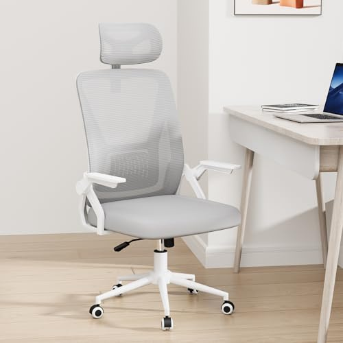 naspaluro Mesh Ergonomic Office Chair for Desk with Flip-up Armrests/Lumbar Support/Adjustable Headrest/Metal Claw, Comfy Swivel Heavy Duty Computer Study Chairs, Gray Work PC Chair For Home Office