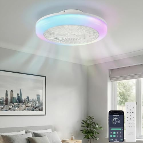 LEONTYNE 20 Smart RGB Ceiling Fans with Lights, Remote & APP, 3 CCT,7 RGB | Low Profile, 6-Speed Reversible Quiet DC Motor, Timer & Memory, 2800LM Dimmable LED, for Small Bedroom Kitchen Living Room