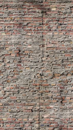 livingwalls Backstein-Fototapete – Grau, Rot – Wandbild XXL 1,59 x 2,80 m | Urbane Backstein-Optik als Akzentwand – matte Vliestapete, ansatzfrei & spurlos abziehbar – für Flur & Esszimmer