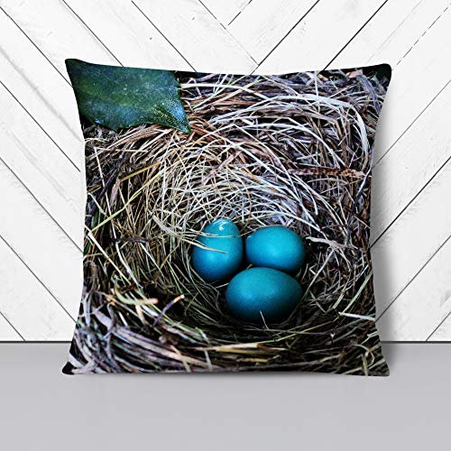 Birds Nest Duck Egg Blue - Cushion Cover Throw Pillow with Insert for Sofa Chair Bed - White Rear - 40x40 cm