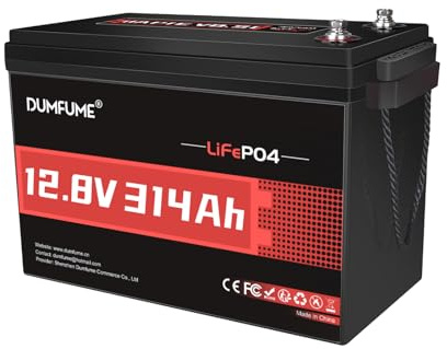 Dumfume Batteria LiFePO4 12V 300Ah (314Ah) con BMS 200A 4019Wh, Protezione Bassa Temperatura Batteria Litio Camper per Accumulo Solare, Campeggio, Impianti Off-grid
