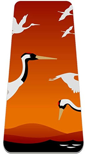 Eslifey Flying Cranes Yogamatte, dick, rutschfest, für Damen und Mädchen, Trainingsmatte, weiche Pilates-Matten, (183 x 61 cm, 0,6 cm dick)