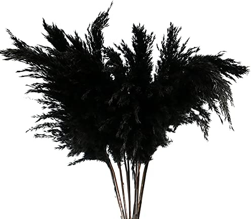 Panonw Künstliche Pampasgras Dekor, 40,6 cm hoch, künstliche Schilfrohr, Pampasgras, Zweige, gefälschte Schilfrohrgras, Pflanzen für Zuhause, Küche, Hochzeit, Party, 5 Stück (schwarz)