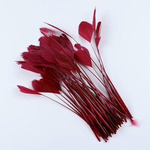 50 Stück/Beutel Lange Gänsefedern, gestreifte Coque-Hutfedern, Fascinator-Hutverzierungen, farbiges Kunsthandwerkszubehör – Weinrot – 50 Stück