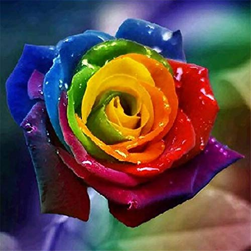 Abillyn Kreuzstich Stickpackungen Vorgedruckt, Bunte Rosenblüte Bilder Stickerei Set (Rose)