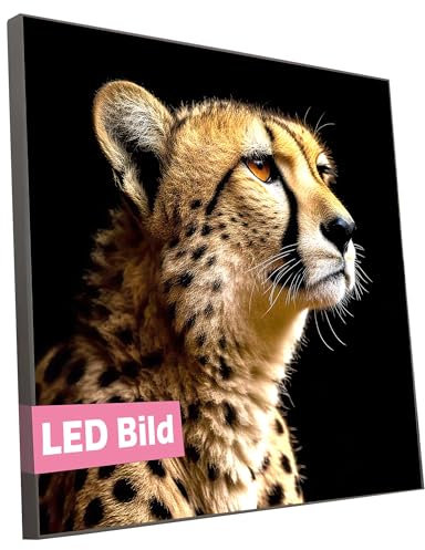 Beleuchtetes Wandbild - Gepard - Modernes Leuchtbild mit Leuchtrahmen - Tier Natur Wild LED Bild - Wanddeko für tolle Atmosphäre (Rahmen: Holz Flora, 50x50 cm, LED Leuchtrahmen)