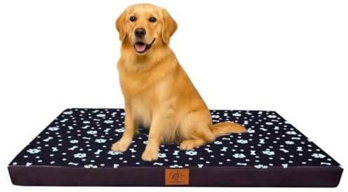 Odolplusz Orthopädisches Hundebett Grosse Hunde | Hundekissen für mittelgroße und große Hunde | Hundematratze mit Waschbarem Bezug | (Braun Knochenmotiv, 100x70x7cm)