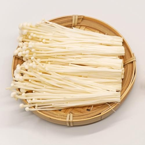 setas enoki balcón invernadero Microvegetales jardín en balcón resistentes jardines de rocas verdes raras semillas del jardín 250semillas