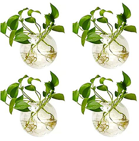 NUPTIO 4 Pcs Wall Hanging Glass Planters 10cm Diameter Round Glass Plant Pot - Water Planting Vases Air Flower Vase Plant Terrariums Plant Container