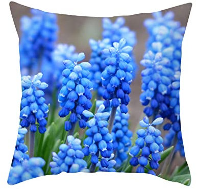 Dsnyu 4er Set Kissenbezug Deko, Hyazinthe Kopfkissenbezug 40x40, Grün Blau Polyester Kissenbezug für Wohnzimmer