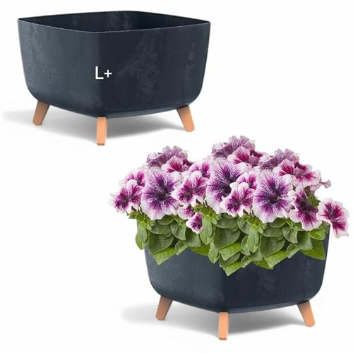 MELTOM Blumentopf Schale mit Füßen Einsatz Viereckig Kräutertopf Übertopf Beton Anthrazit +L 38 cm für Innen und Außen