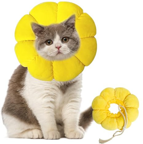 1 Stück Halskrause Katze,Einstellbarer Katzenkragen,Weich Halskrausen für Katzen,Katzen Halskrause,Durchmesser 22cm,für Katzen Kleiner Hunde Nach Operation und Verletzungen(Gelb,M)