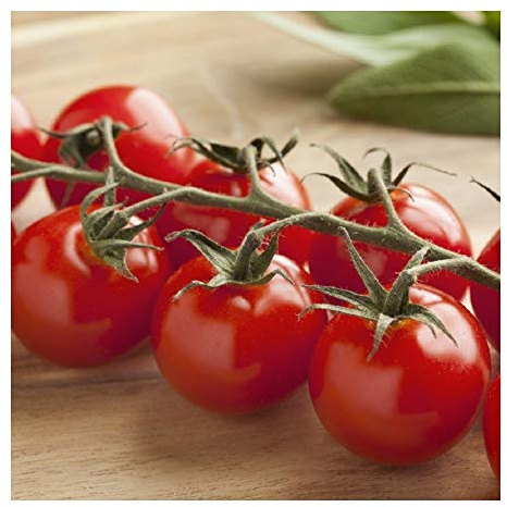 PREMIER SEEDS DIRECT - Tomato Seeds - Cherry Baby F1 (120 Seeds)