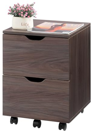 HollyHOME Under Desk Cabinet, Deep 2-Drawer Mobile Wood Cabinet, Storage Drawer for Home, Rolling Shelf for Office, Rolling Printer Stand, for A4, Modern, Dark Brown