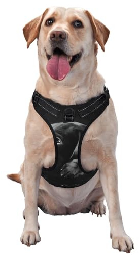 Hundegeschirr mit schwarzem Labrador-Motiv, bedruckt, Schnellverschluss, reflektierend, Haustierweste mit 2 Schnellverschluss-Schnallen, 4 Größen, M, ideal für Spaziergänge und Wanderungen im Freien