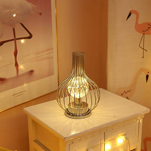 IHONYI Battery Operated Table Lamp, Cordless Metal Bedside Desk Lamp, Modern Iron Basket Cage Style Night Light for Home Bedroom Living Room Patio Hotel