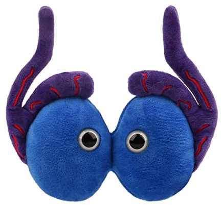 GIANT MICROBES Hodenorgan, originelles Plüschtier, pädagogisches Geschenk, 16 cm