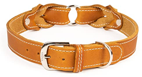 CopcoPet Hundehalsband Heidi 35 – 40 cm x 20mm Cognac – Aus weichem Leder mit Ziernaht & verchromten Beschlägen – Robust, stilvoll & verstellbar – Für mittelgroße Hunde, Spaziergang & Alltag