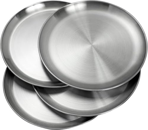 Tonsitian Juego de 2 platos de acero inoxidable redondos de 30 cm, ligeros, para barbacoa, picnic, fiesta, camping, apto para lavavajillas y saludable