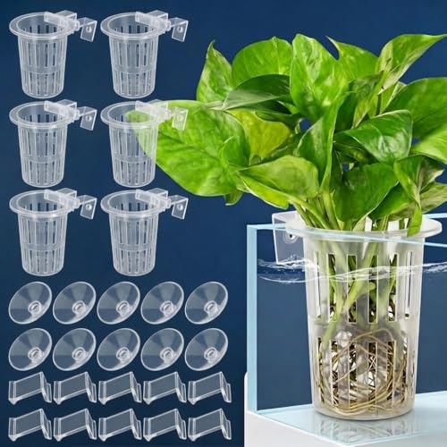 EAAGHK 45 Kits de Support Plante Aquarium, 5 Panier Plante Aquatique Cylindriques, 30 Crochets et 10 Ventouses, Pot Suspendu Plante Aquarium en Grille, pour Culture Fleurs et Plantes Aquaponiques