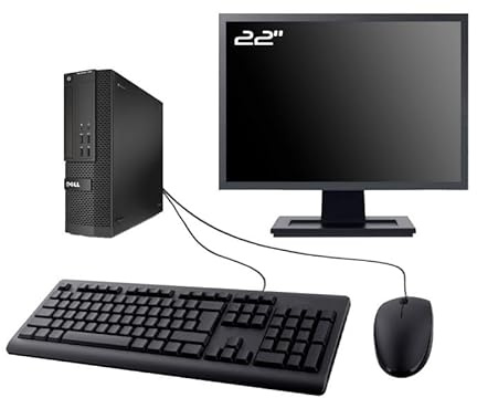 PC Dell Optiplex XE2 SFF Display 22 Intel I3-4130 RAM 8GB SSD 250GB WiFi W11 (ricondizionato)